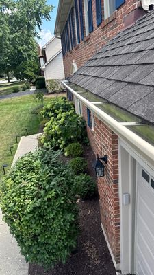 Turtle Shell gutter protection installation in Naperville, IL 60540, photograph 6