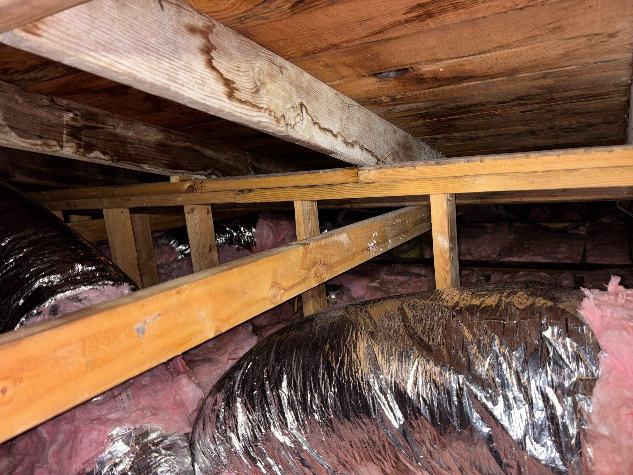 Project in Pacific Palisades by Insulation Labs