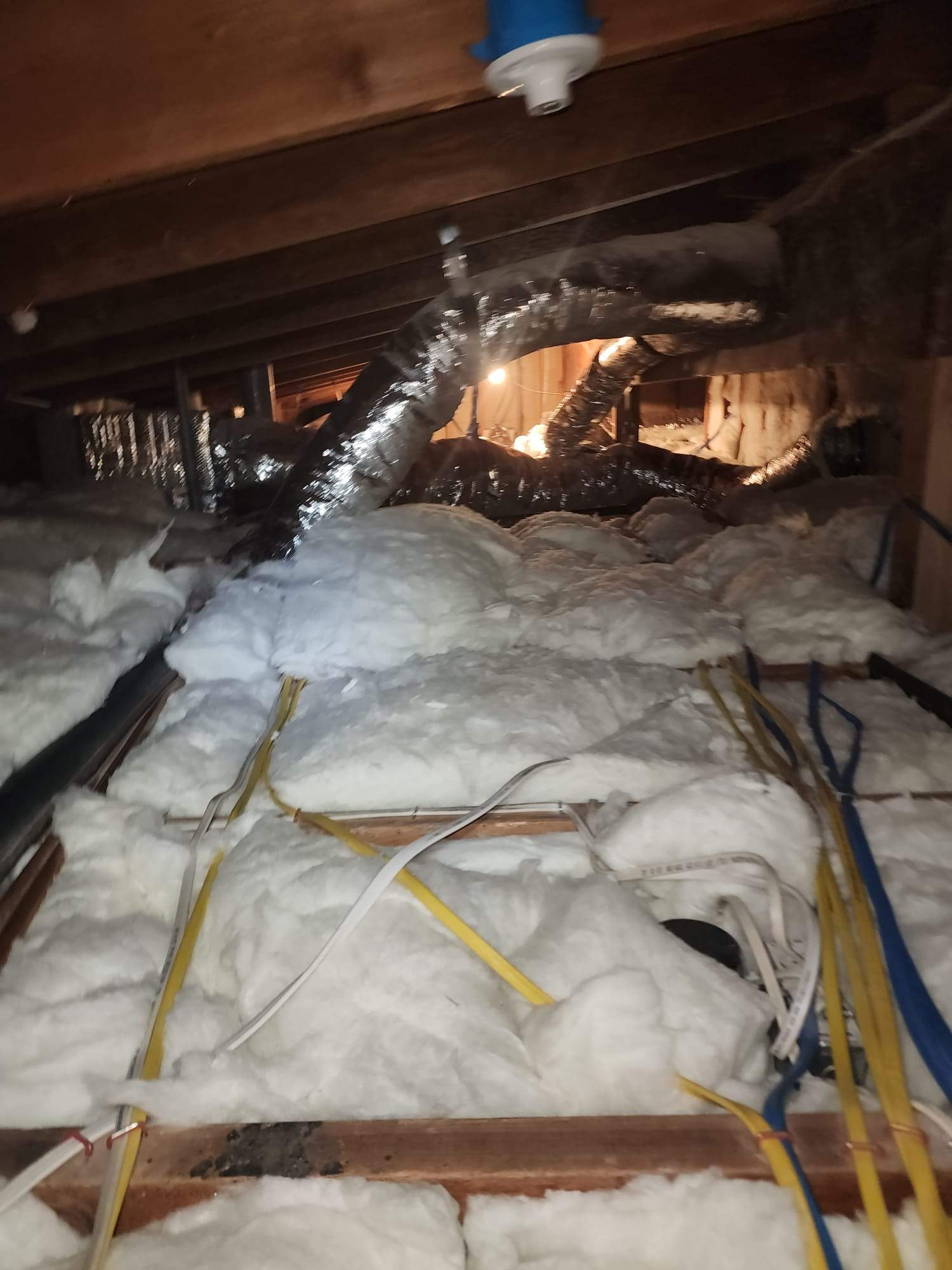 Project in Los Angeles by Advanced Attic Solutions