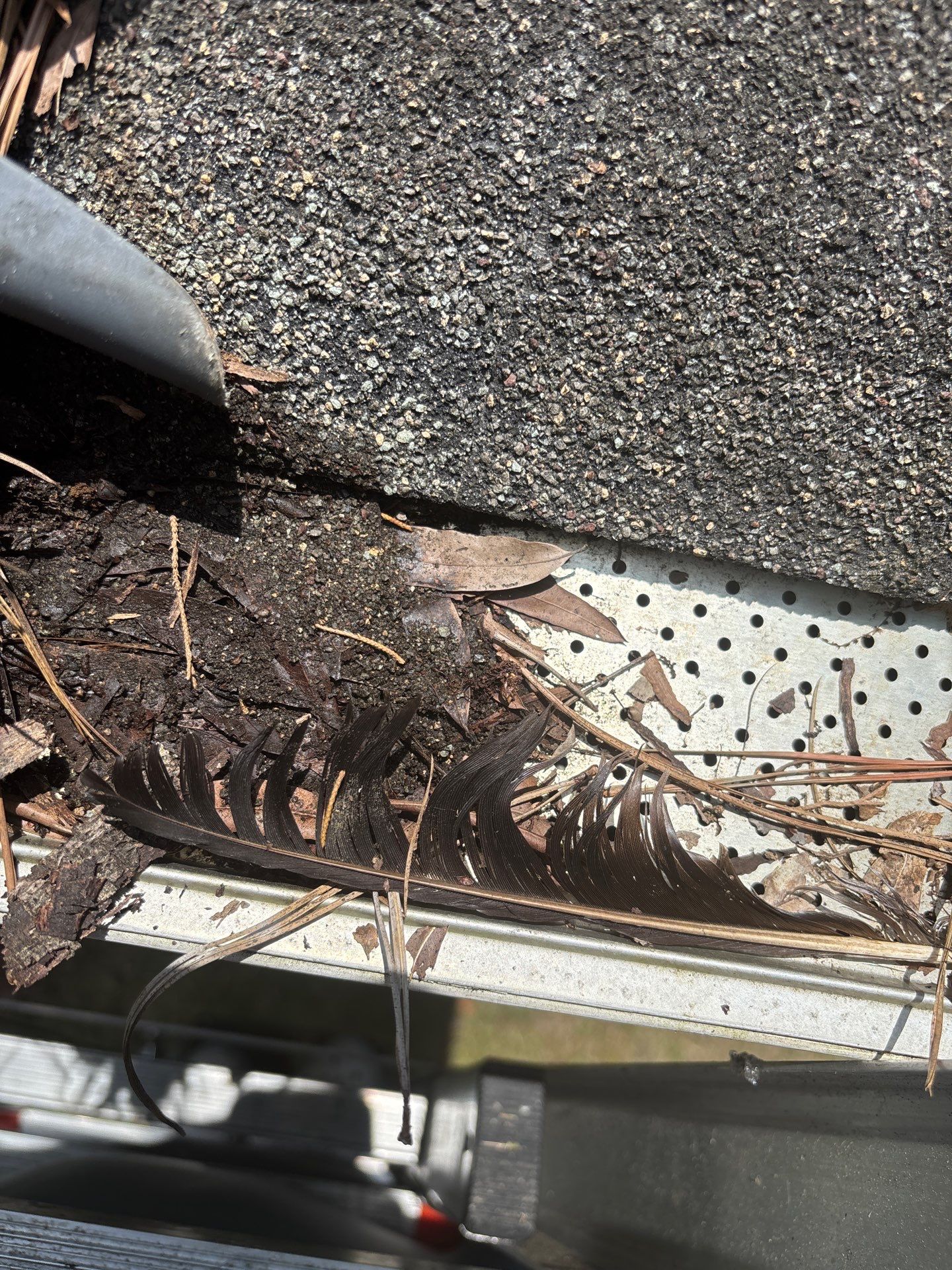 Project in Richmond by Roof Maxx of Midlothian