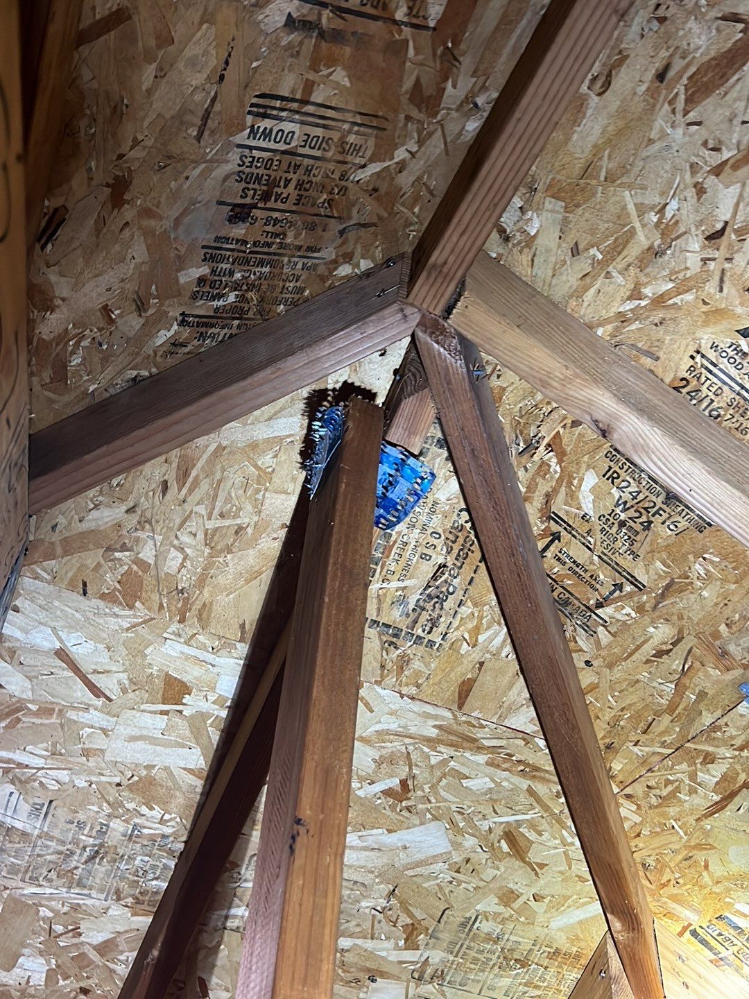Residential Roofing Installation using IKO Dynasty (Color: Biscayne) by Orezona Building & Roofing Company, Inc.