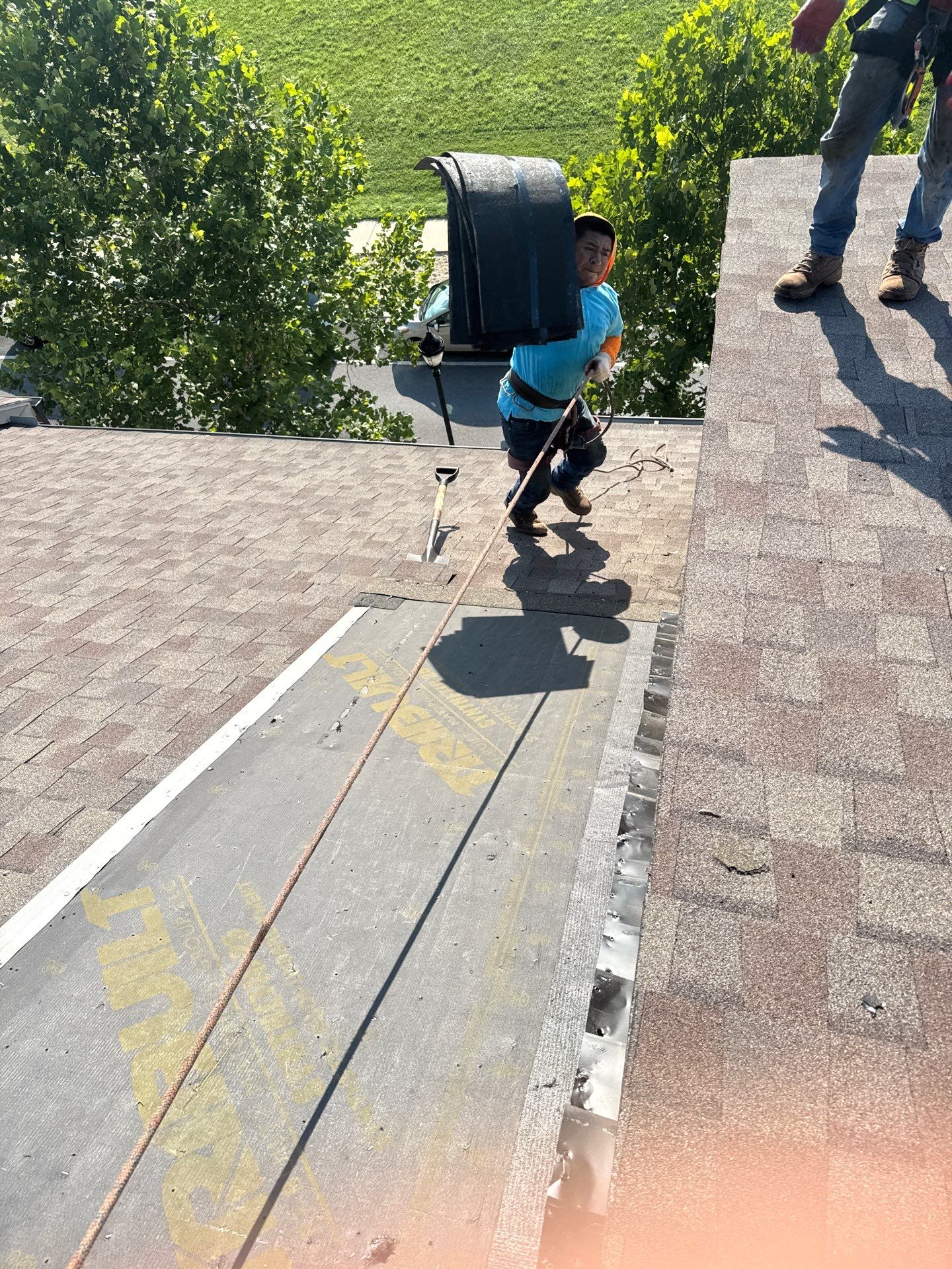 New Shingle Roof Installation  by Alpha Design Services