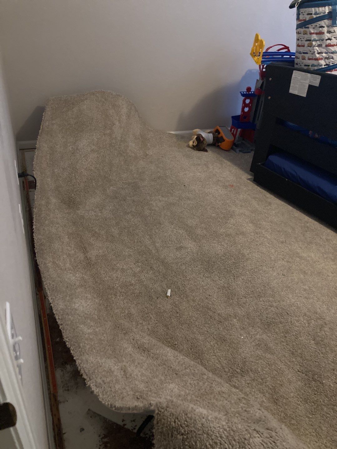 Water Damage by Accountable Home Services