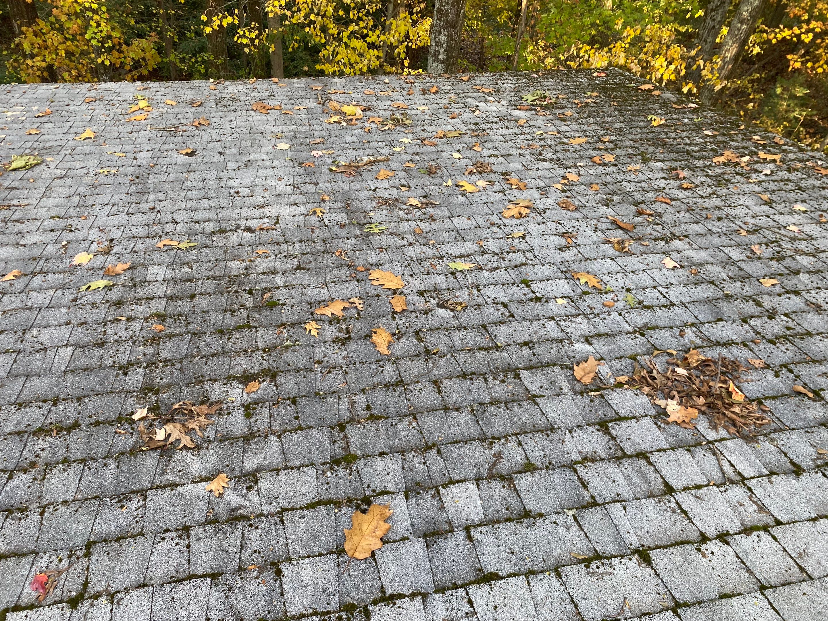 Roofing & Skylights | Concord by Mighty Dog Roofing of Greater Middlesex County