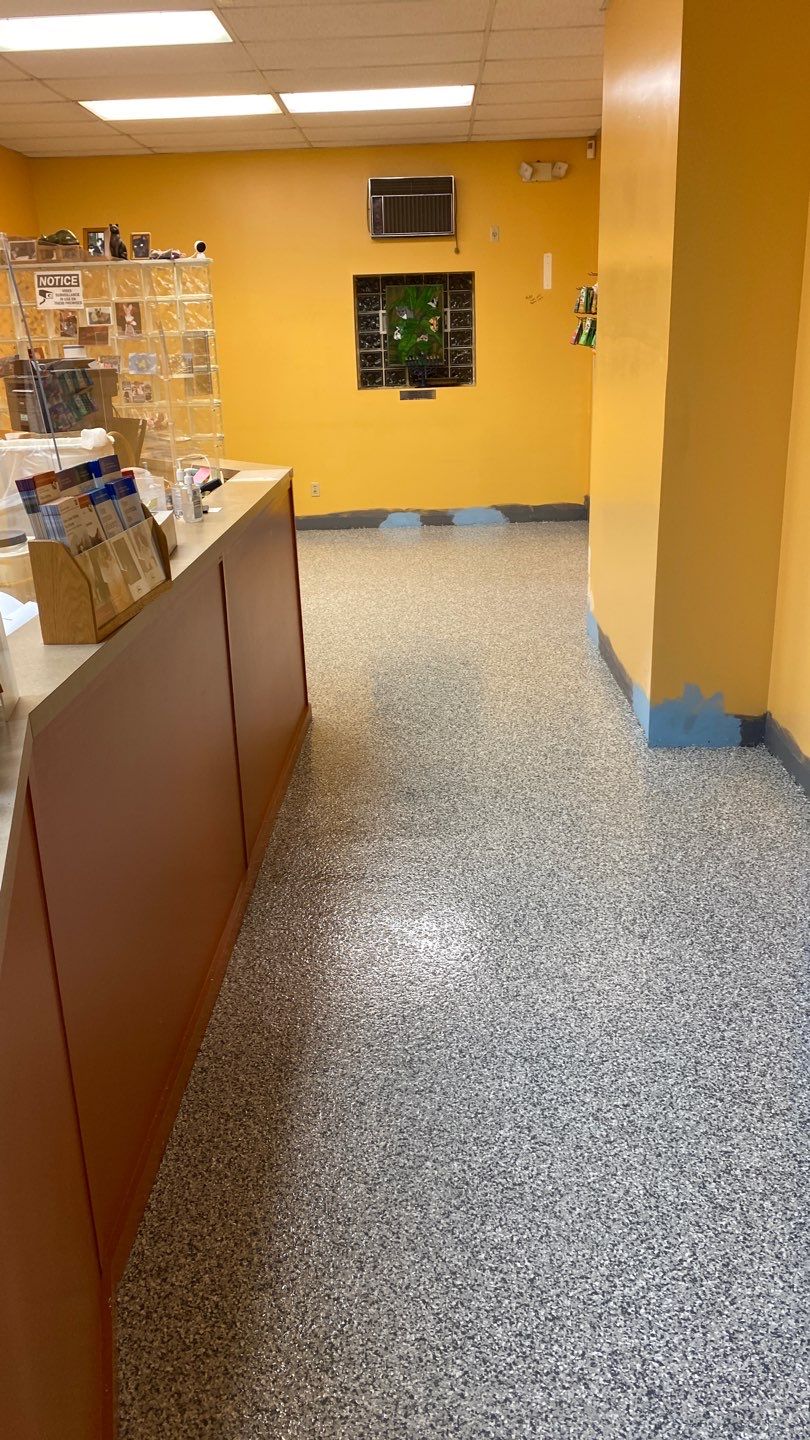 Cat Hospital Project in Pittsburgh by Floors in a Day, Inc