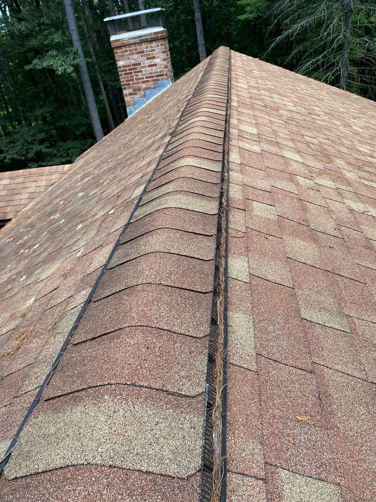 Roof Replacement – Rosalie Brown, MA by Mighty Dog Roofing of Greater Middlesex County
