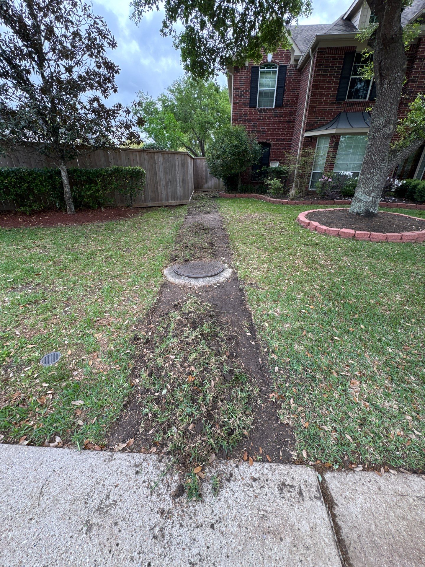 🌿 Mrs. Coleman’s Lawn & Drainage Restoration by Texas Urban Elements
