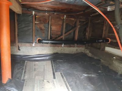 Project in Portland