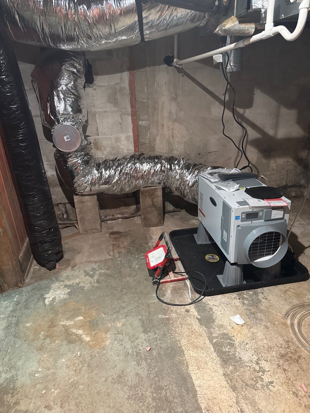 Rehoboth Beach VFW Indoor Air Restoration & Basement Mold Remediation by Healthy Home Solutions
