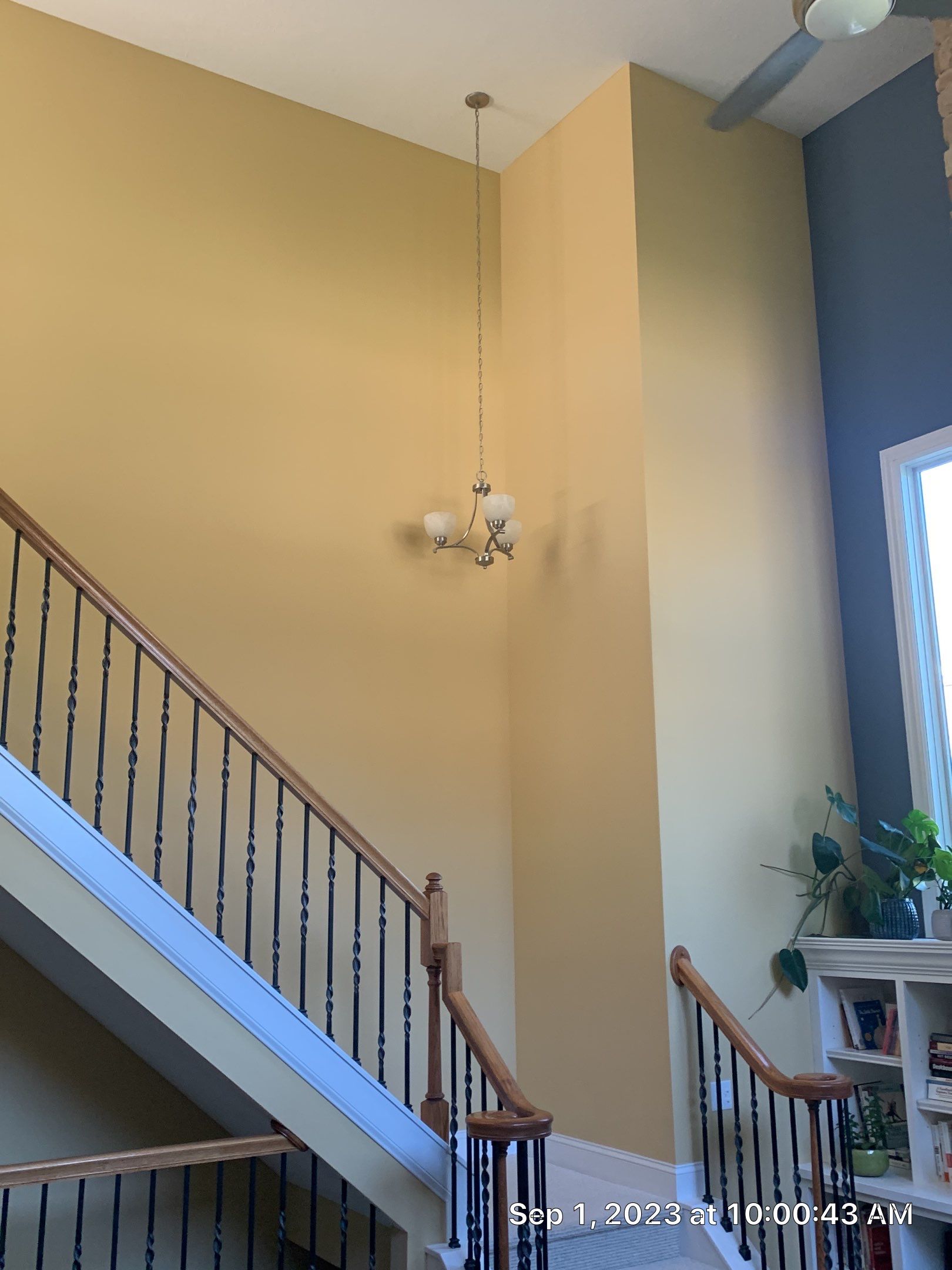 Orange Town Home by Best Buy Painting 