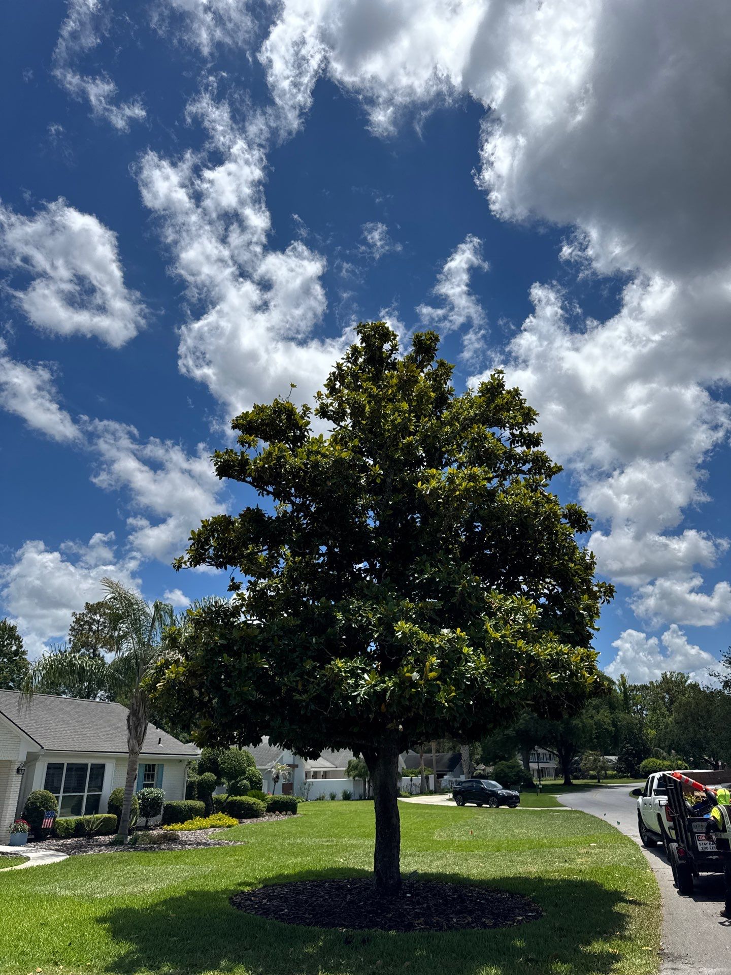 Deerwood Resident | Sod Install by ProGreen Services