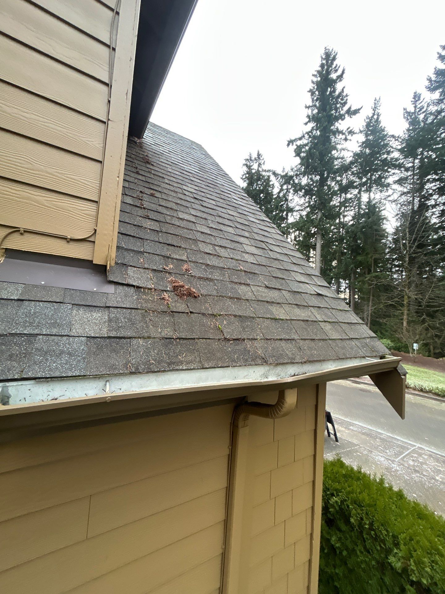 Project in Mukilteo by Peaks and Valleys Construction