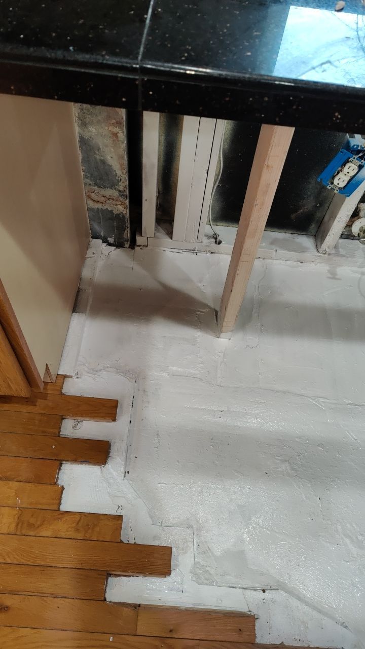 Mold Damage by Accountable Home Services