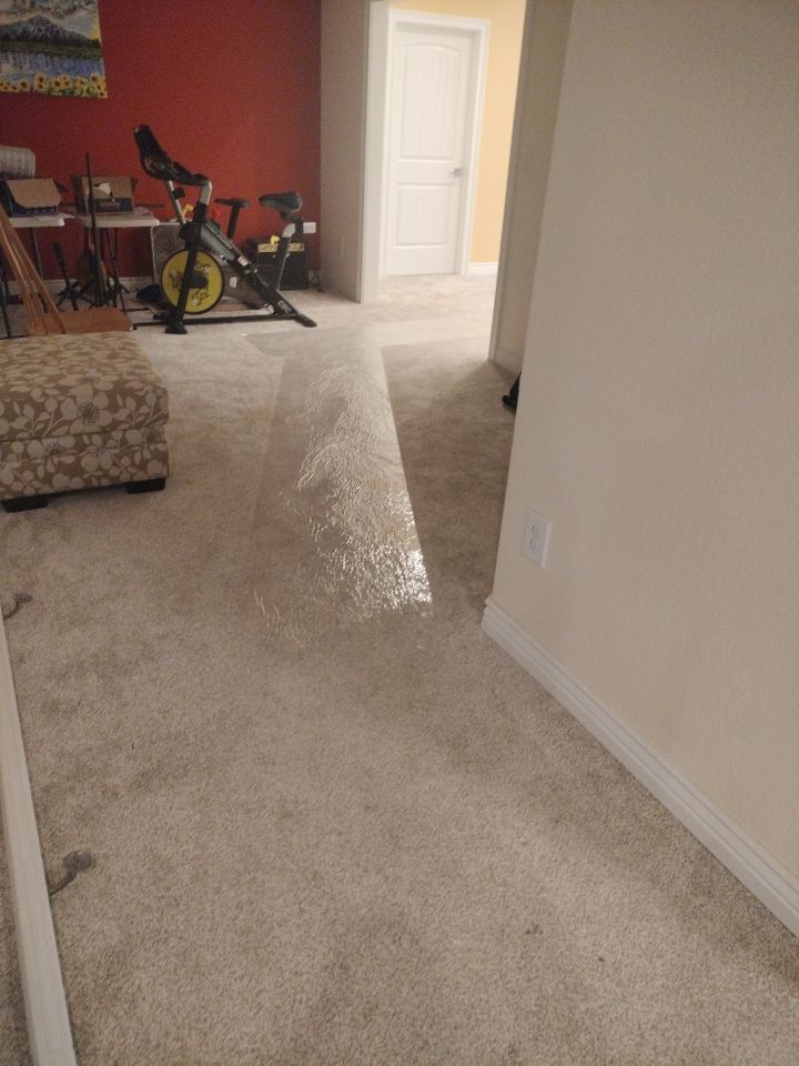 Mold Remediation by Accountable Home Services