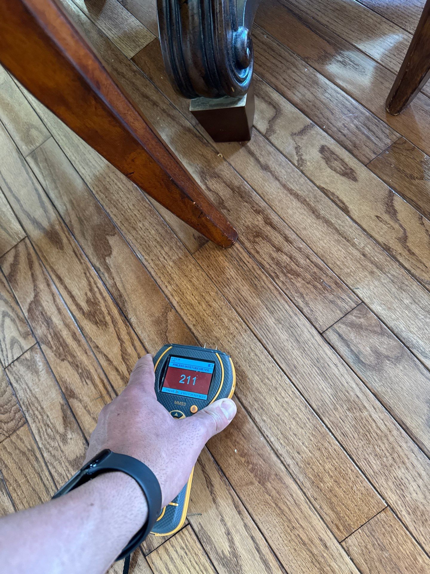 Project in West Bloomfield by EzDry Water Mitigation & Property Restoration