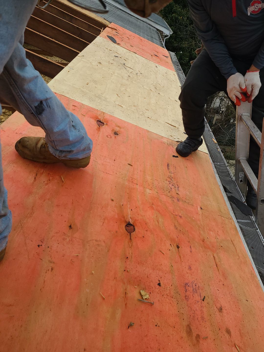 Alexandria Certainteed Landmark Roof in Colonial Slate by RM Banning, Inc.