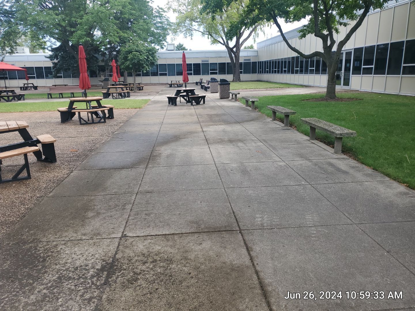 concrete using Algaecide, soft wash soap by Northern Power Washing LLC.