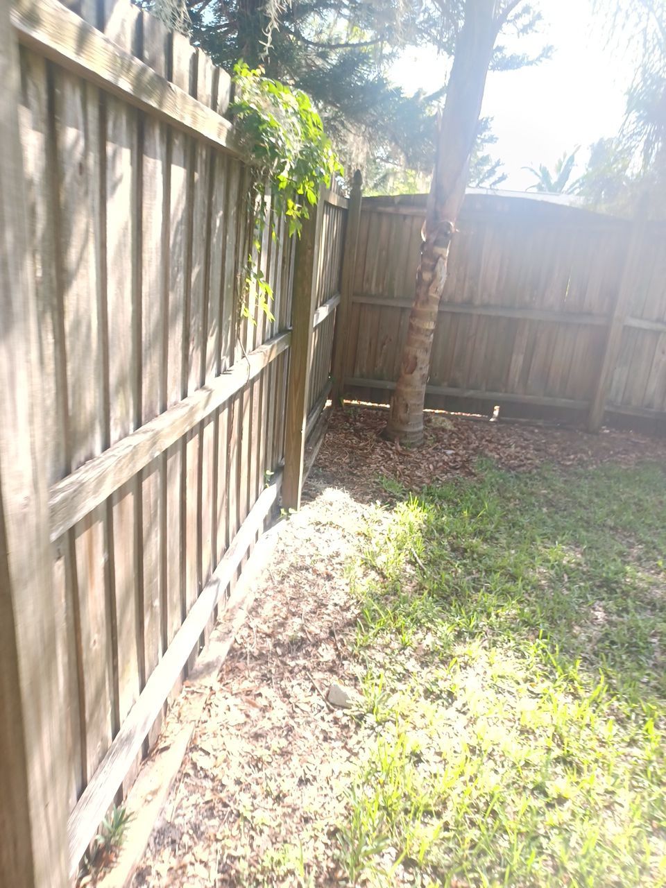 Sarasota, FL 6ft. Tall Treated Board on Board Wood Fence by Asap fence and gates, LLC