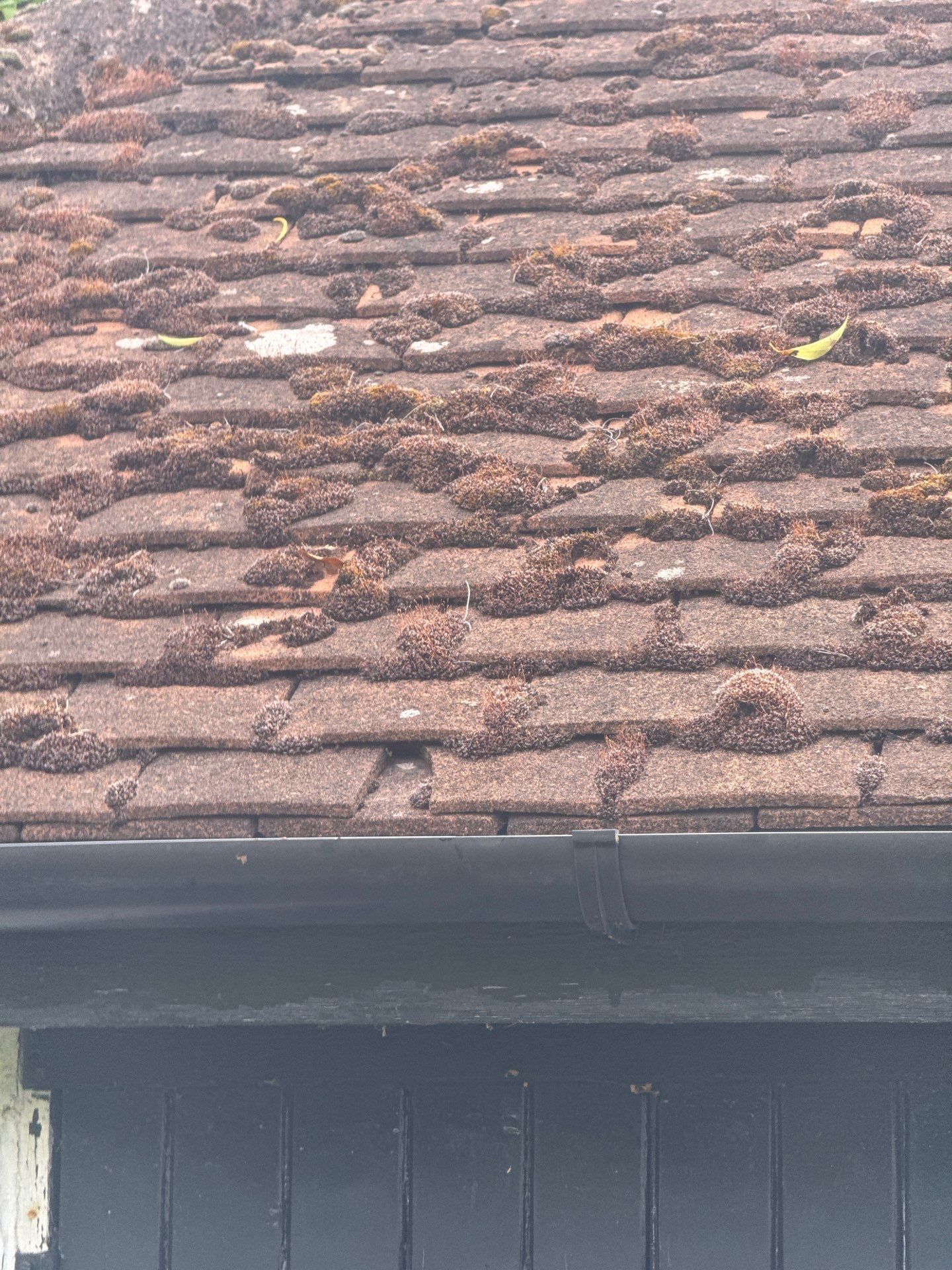 Roof Clean  - Moss Removal - Gutter Clean using Honda 15lpm Low Pressure Washing Machine by Ges Exterior Cleaning ltd