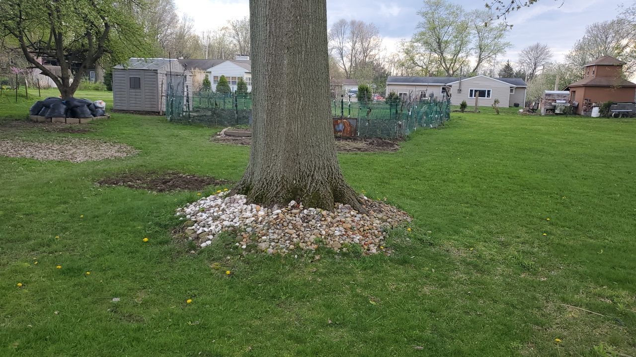 Tree Removal using Tree Removal by Mike Jones & Sons Tree Service LLC 