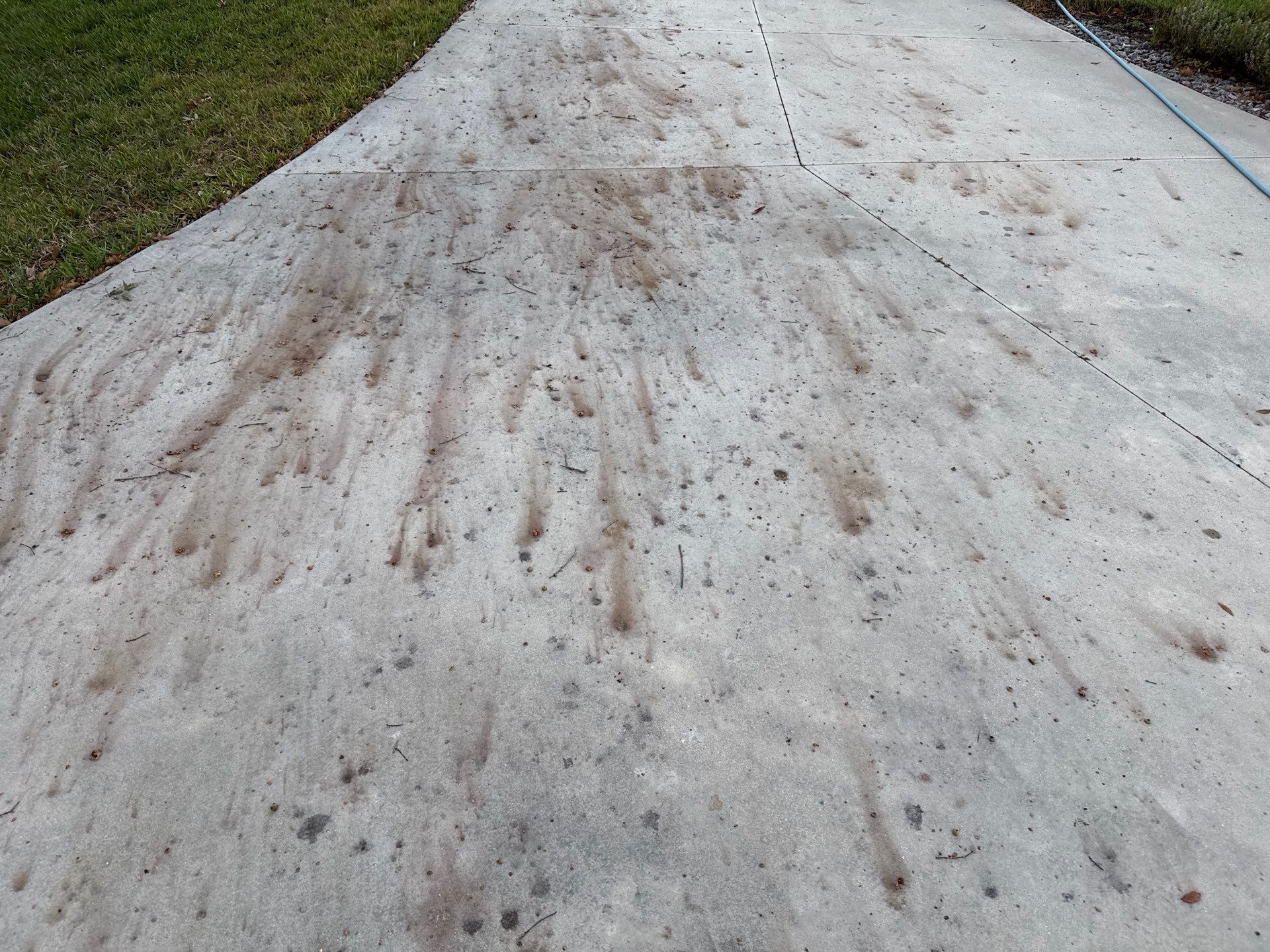 🏡 Large Concrete Driveway & Sidewalk Cleaning – Winding River Community, Bradenton, FL by Sunshine AquaWash