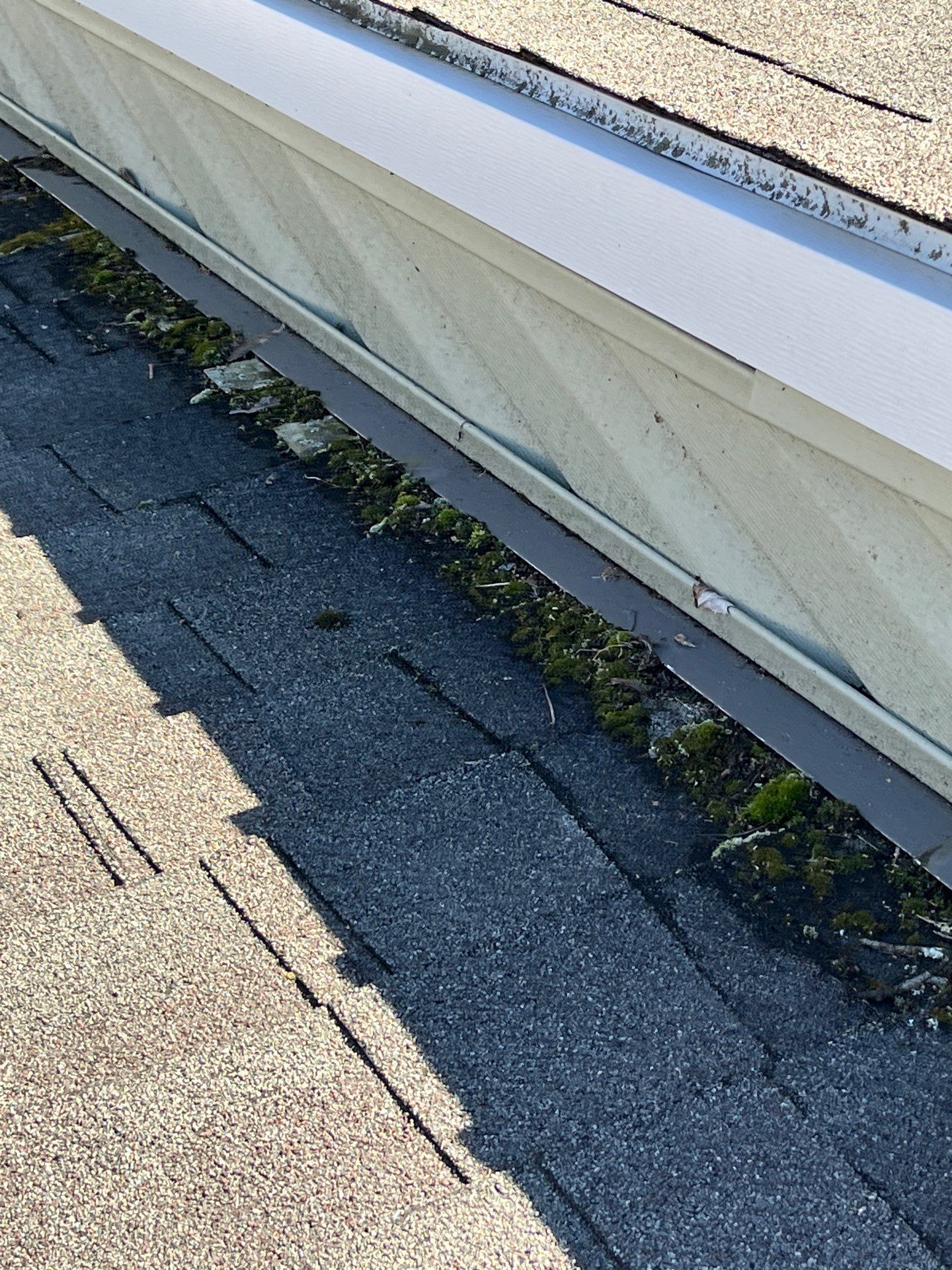 Roof Replacement using Owens Corning Summer Harvest by 180 Contractors