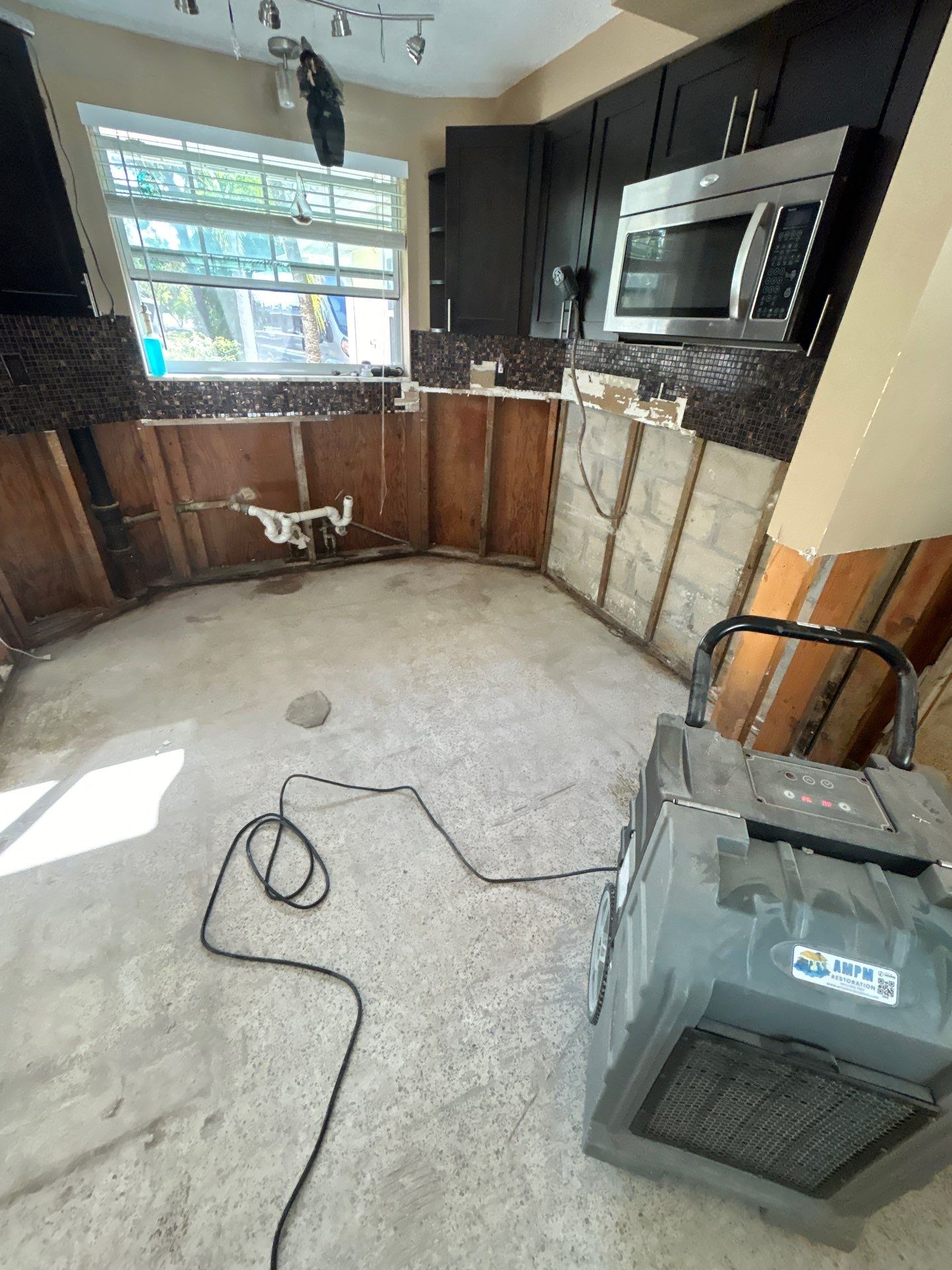 Mold Remediation + Reconstruction Bradenton by Ampm Restoration Services