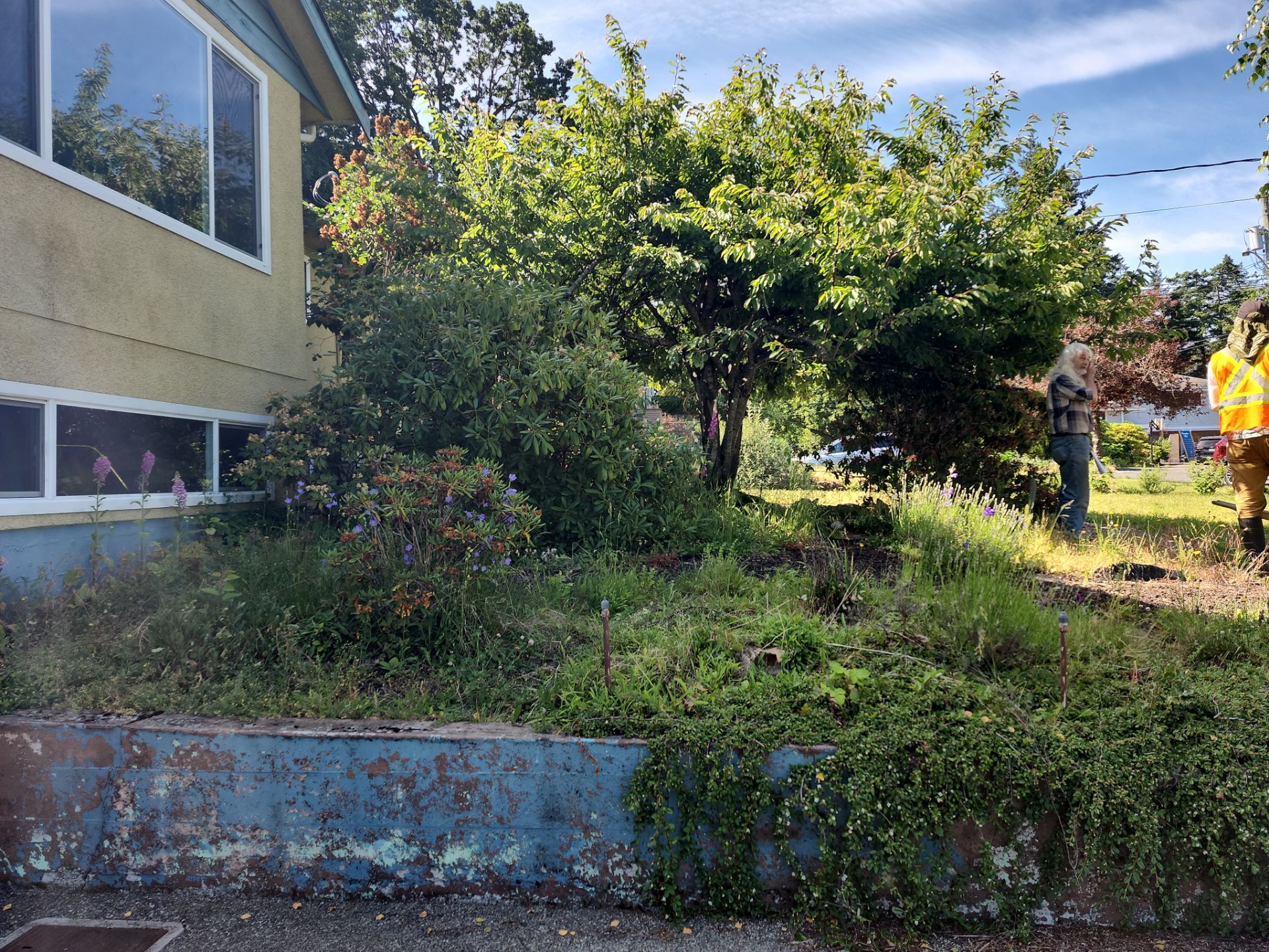 Front Yard Ecological Conversion – A West Coast-Inspired Low-Maintenance Oasis by Habanero Garden and Exterior Care