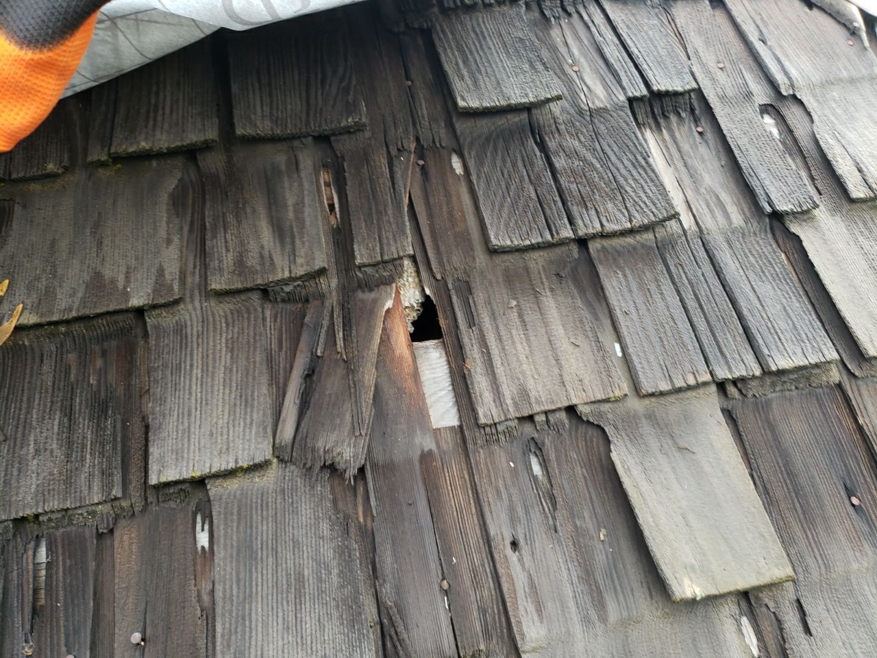 Residential Roofing Installation using GAF Timberline HDZ - Lifetime Shingle by The Roof Doctor