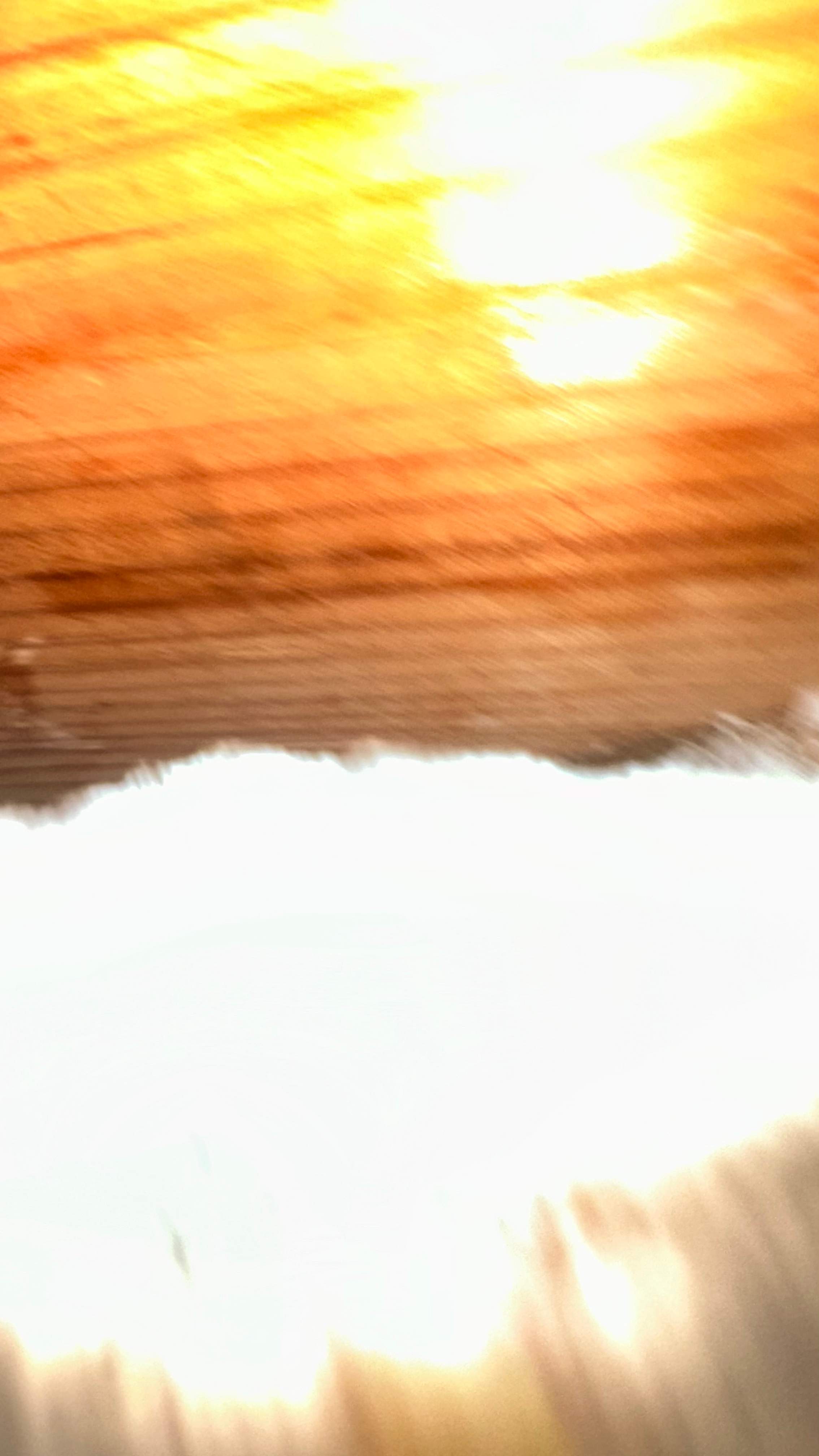 Unsealed Attic by Rockwall Honey Bee Company