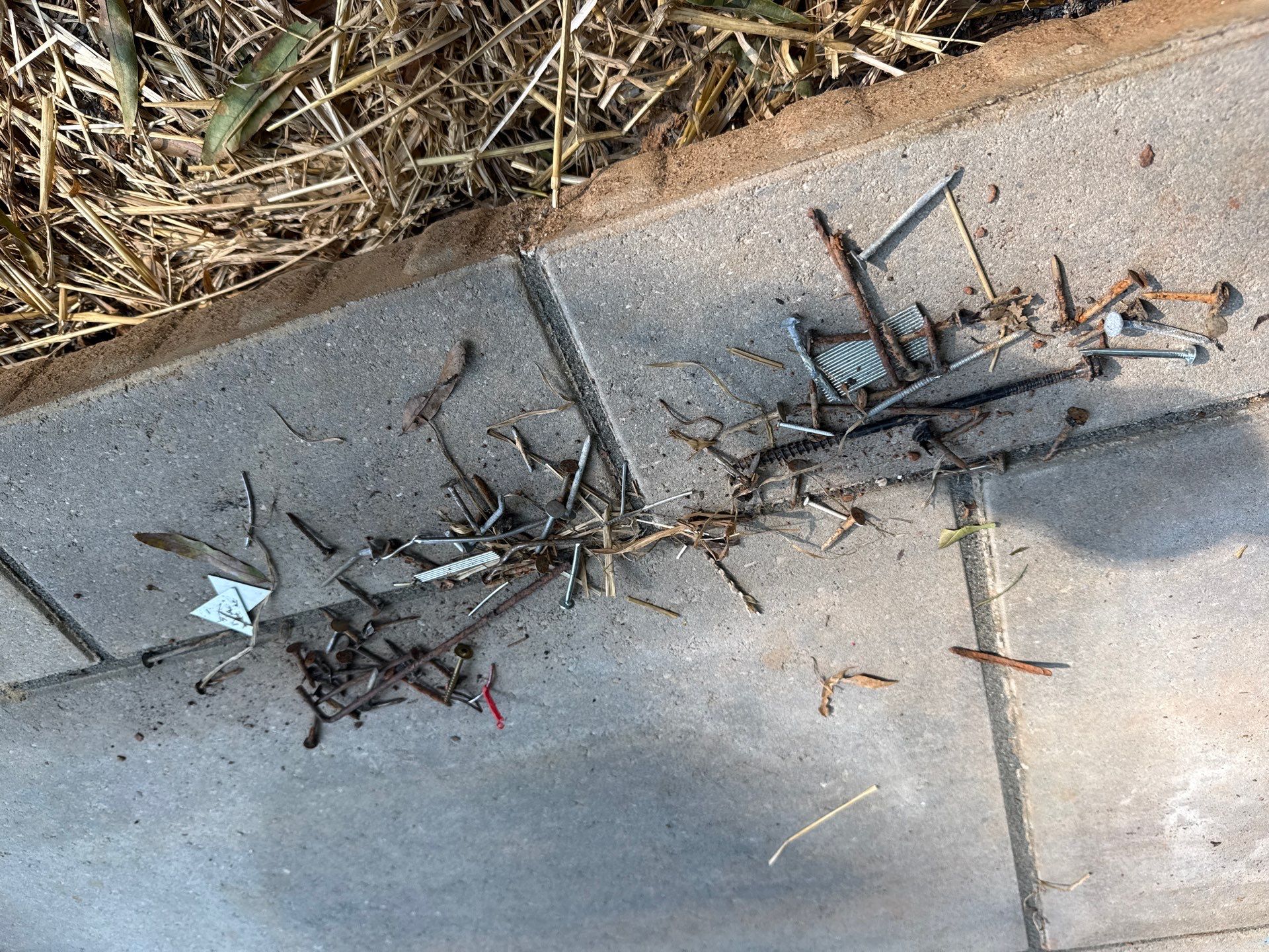 Project in Charlotte by Badger Hauling