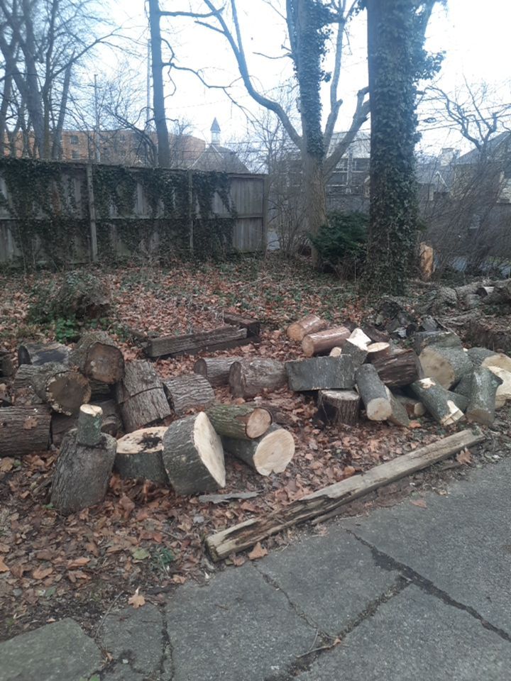 Firewood Delivery  using Seasoned Firewood by Mike Jones & Sons Tree Service LLC 