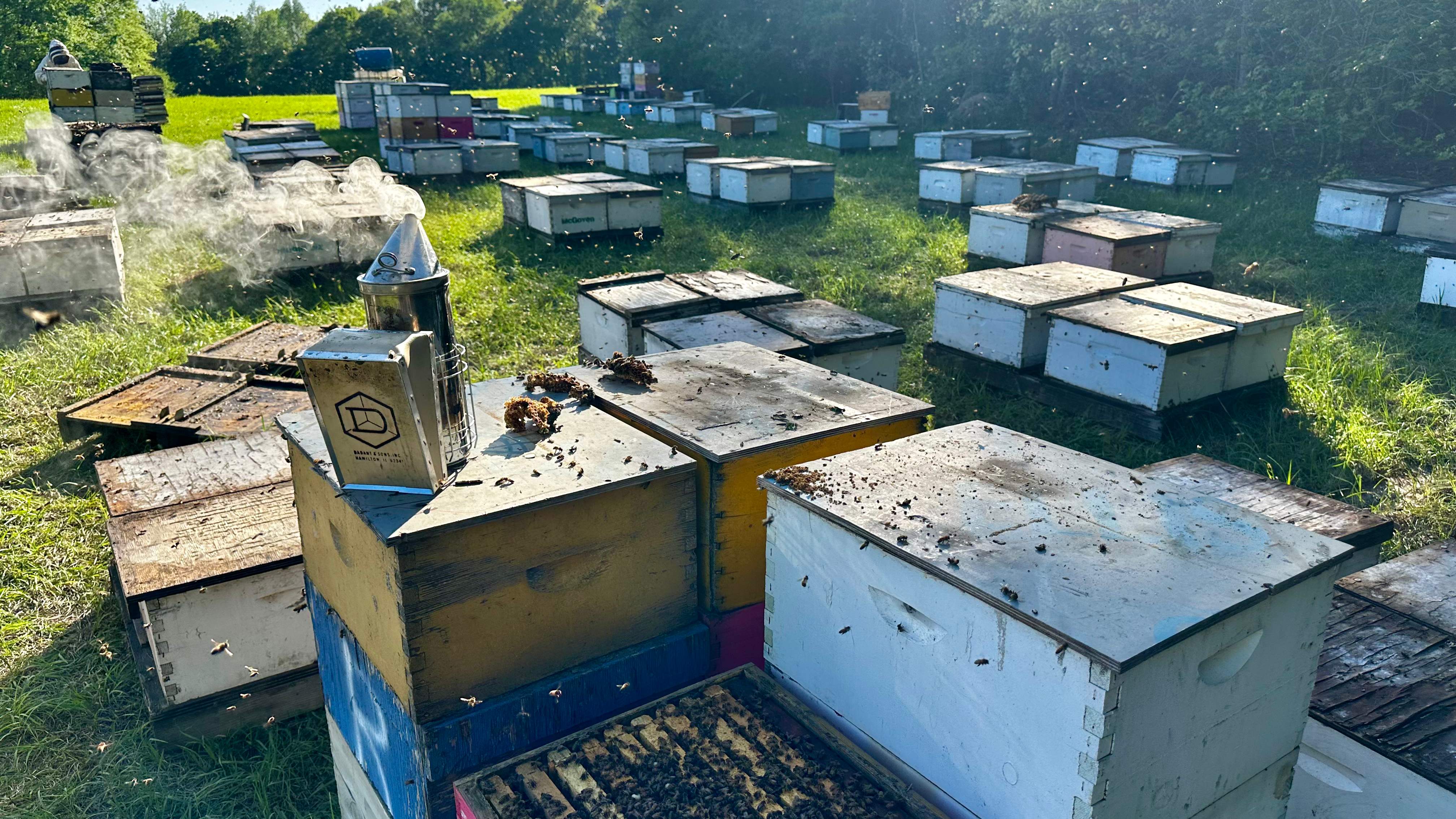 Traylor's Hay Meadow Apiary by Rockwall Honey Bee Company