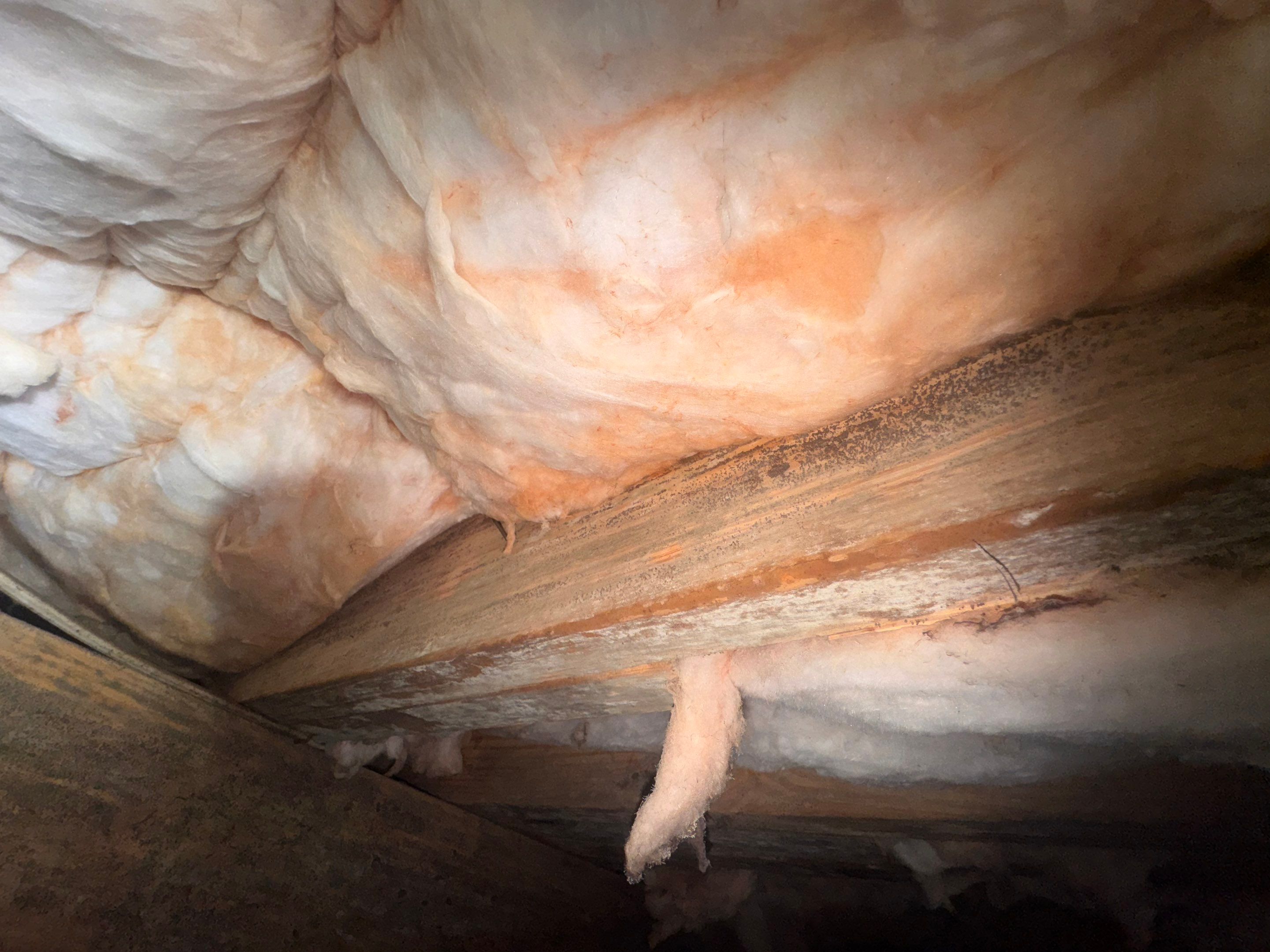 Moisture Barrier, Mold Clean, Structural Repair, Dehumidifier, R19 Insulation. by Impact Crawlspace