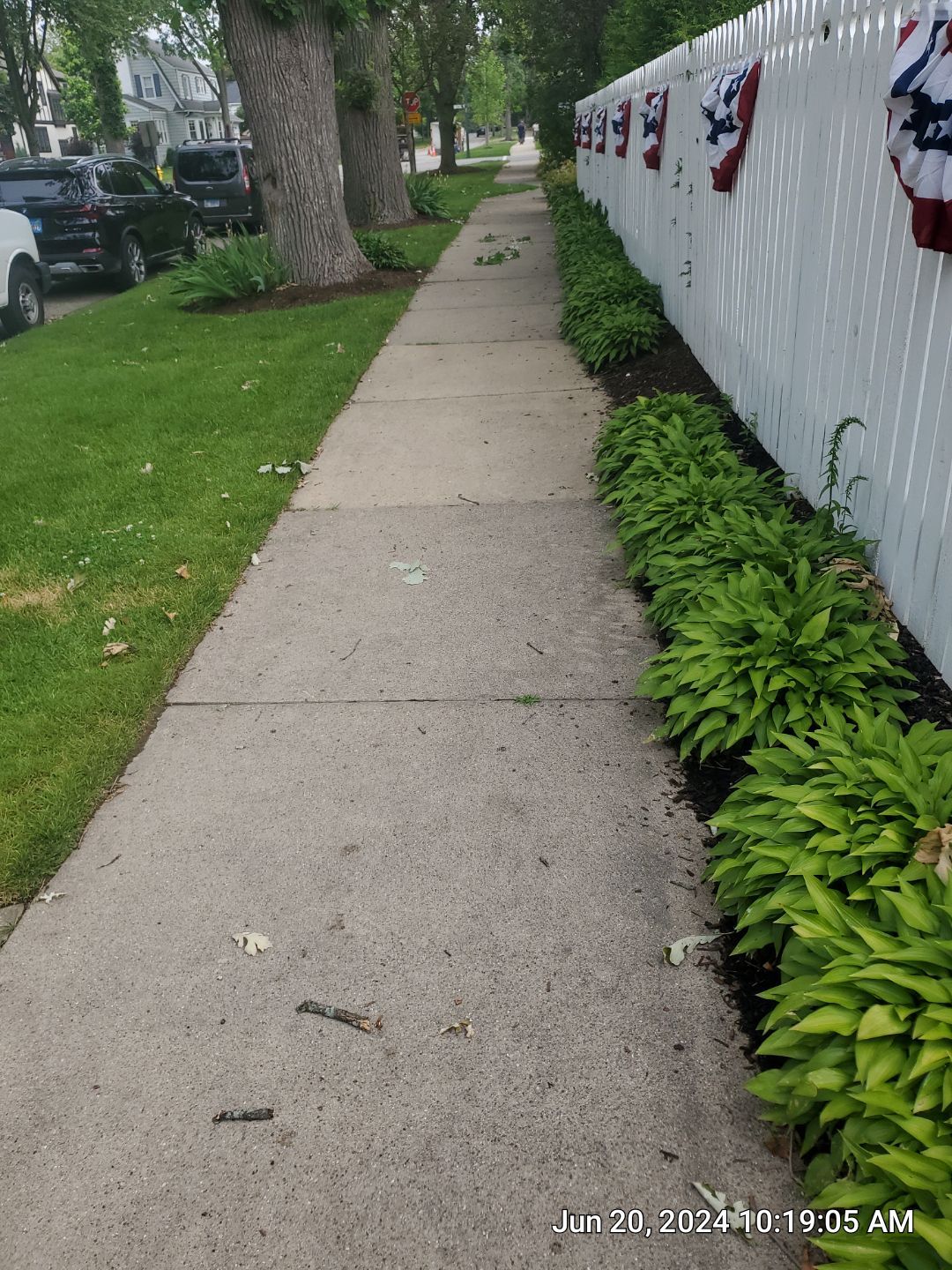 concrete cleaning using Algaecide, soft wash soap by Northern Power Washing LLC.