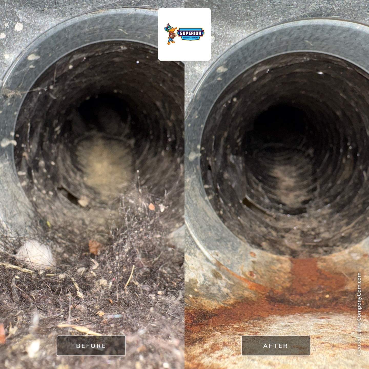 Comprehensive Air Duct Cleaning for Rochester Manufactured Home by Superior Air Duct Cleaning