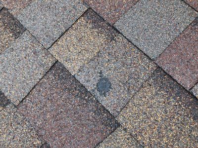 Project in Littleton