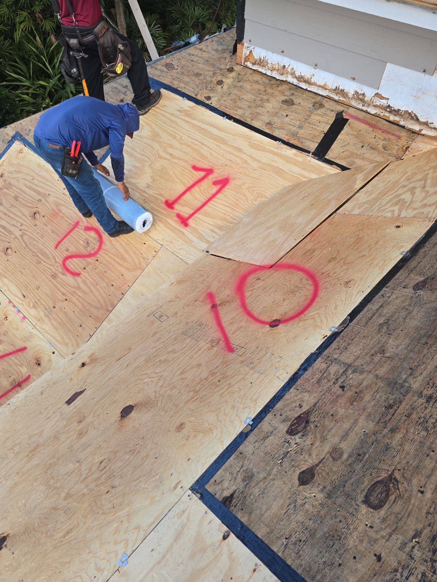 Roof Replacement in Valrico, FL by Shingle Masters Roofing