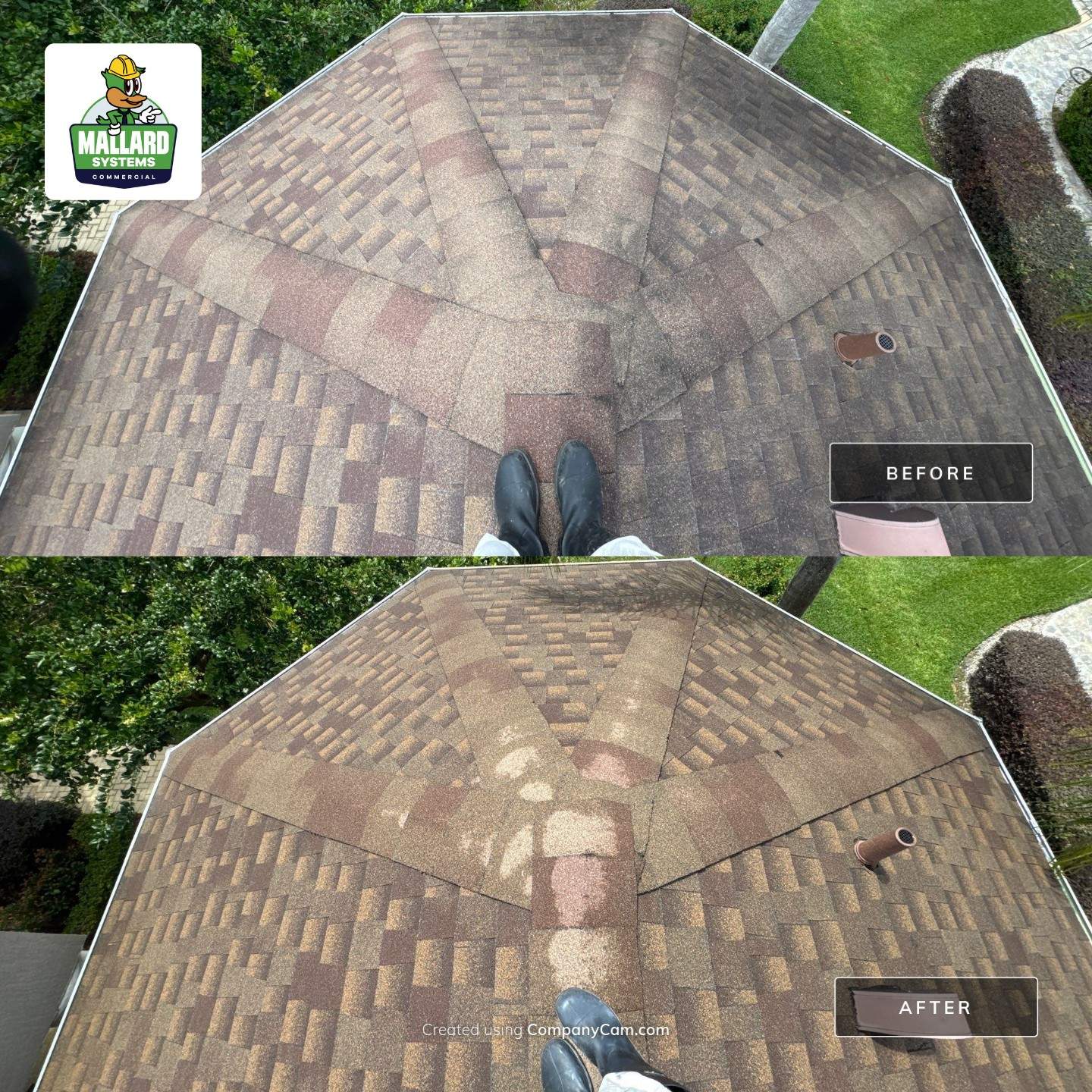 Shingle Roof Cleaning by Mallard Systems