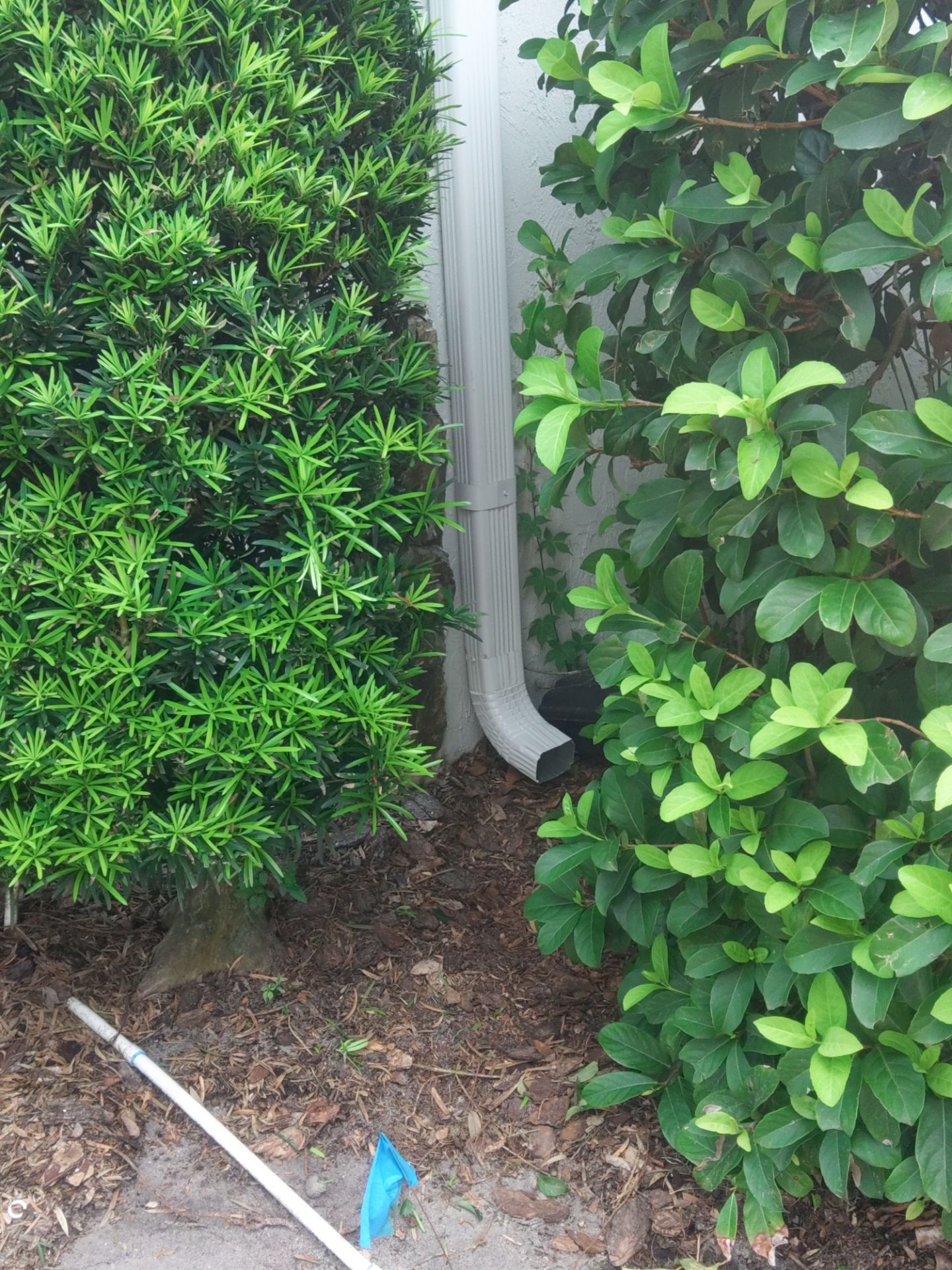 Leaf Guard System Installation in Sarasota FL by Gutter Professors