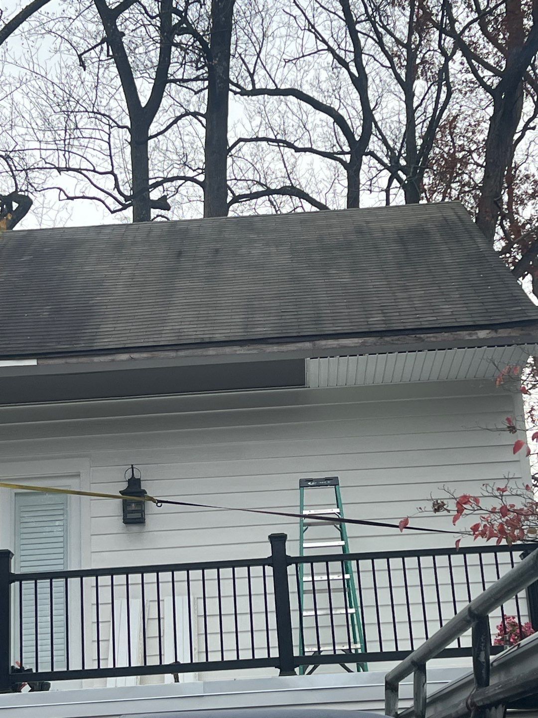 Arlington: Bevel Cedar Wood Siding Restoration by RM Banning, Inc.