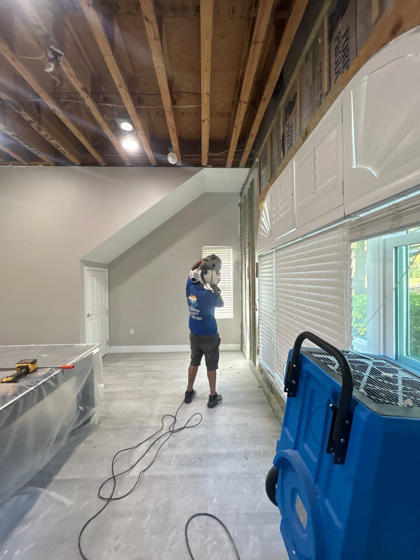 Mold Removal & Remediation In Sarasota by Ampm Restoration Services