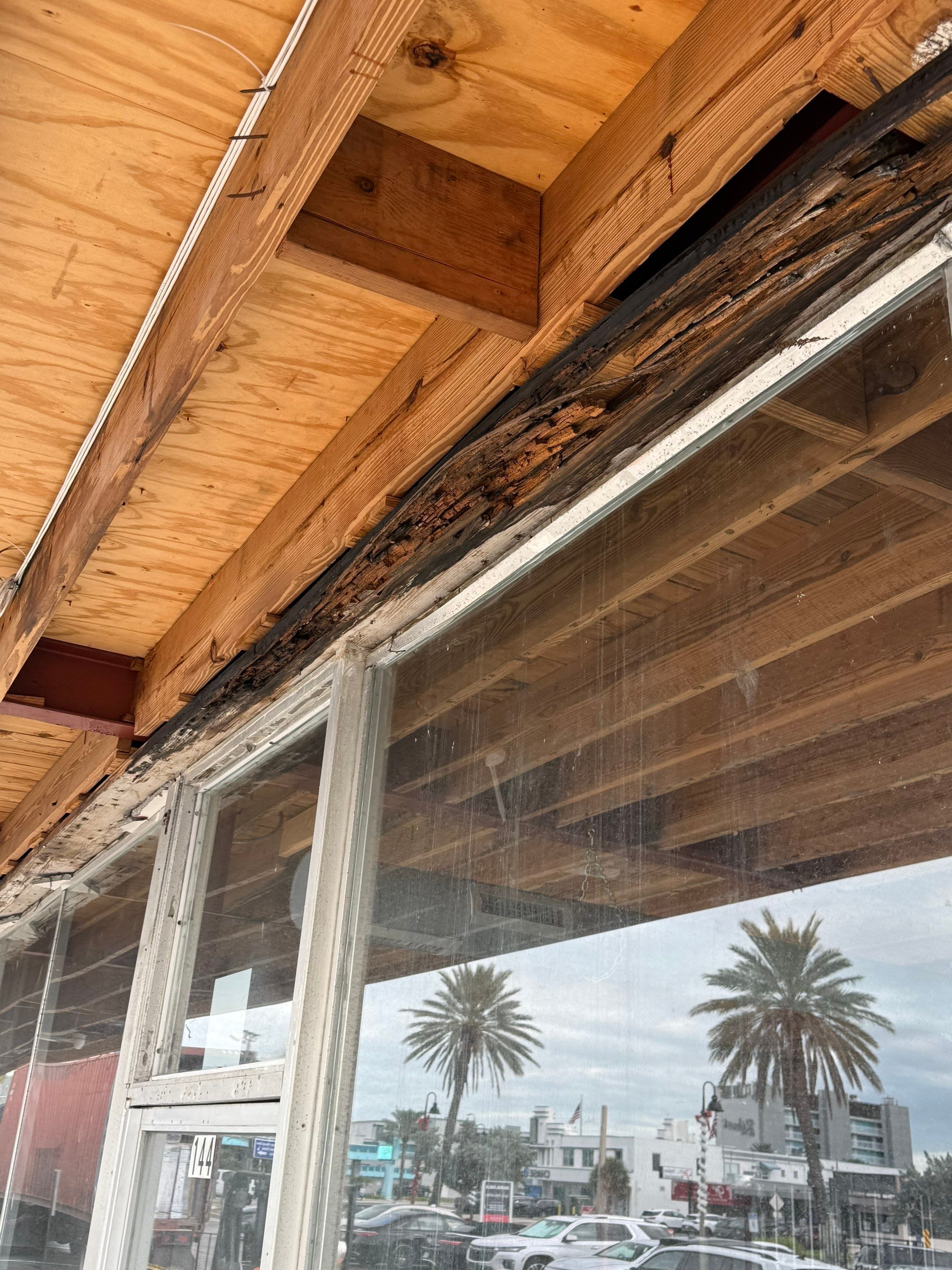 Treasure Island by usa home improvement