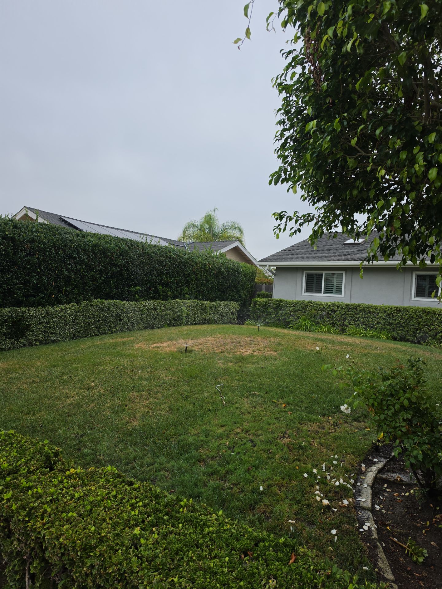 Residential Irrigation System Repair and Pipe Installation in Carlsbad by Yard Techs