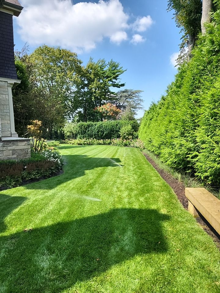 Landscape Design by elegant Lawns