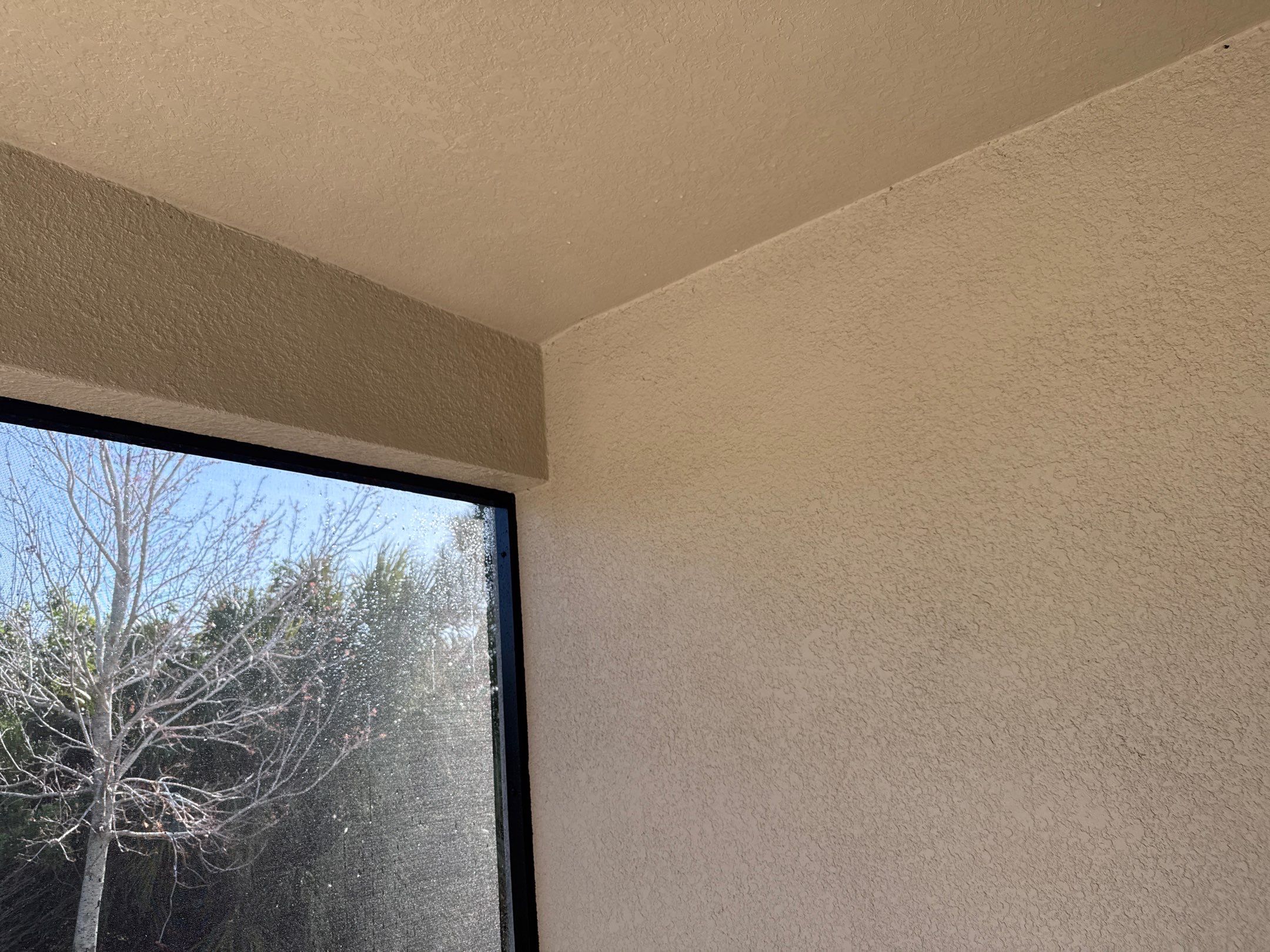 House Wash, Lanai Cleaning & Driveway Washing | Willow Walk Palmetto FL by Sunshine AquaWash