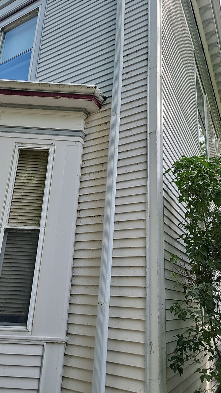 Housewashing  using Algaecide, soft wash soap by Northern Power Washing LLC.
