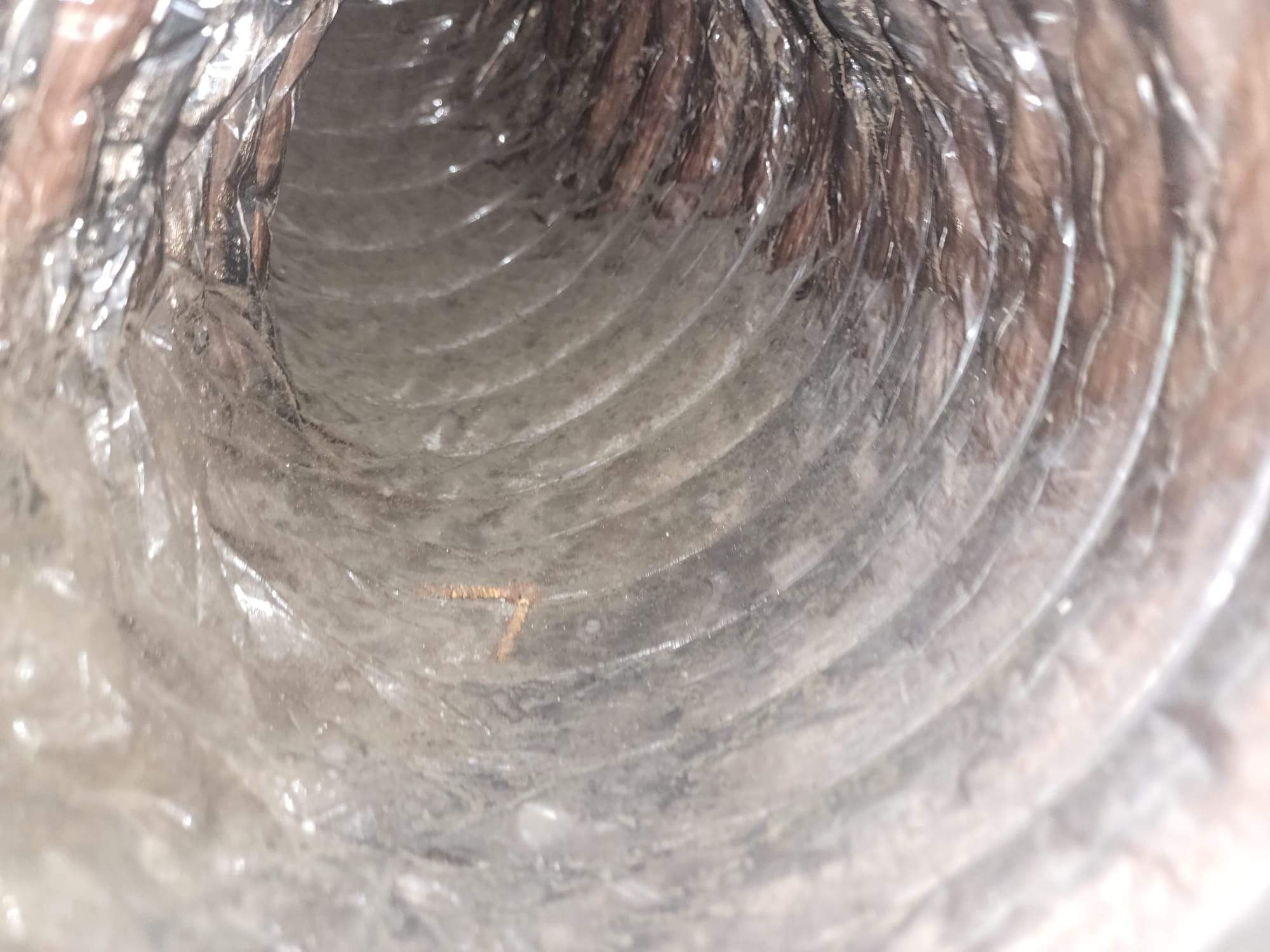 Holmes Beach AC Mold Deep Cleaning by Ampm Restoration Services