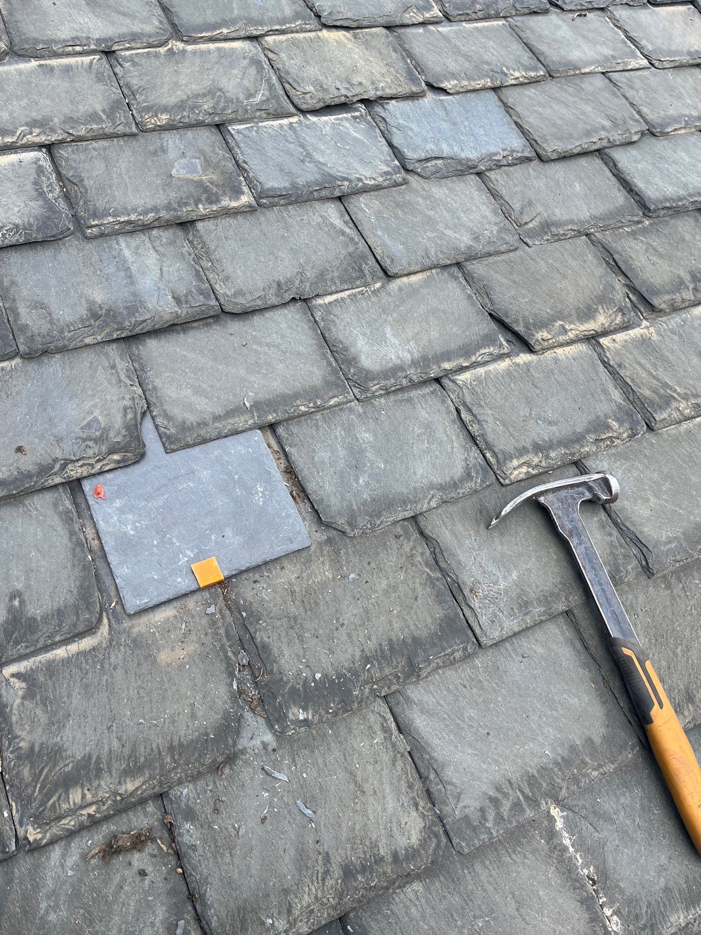 Arlington: Buckingham Slate and Carlisle Syntec TPO Roof by RM Banning, Inc.