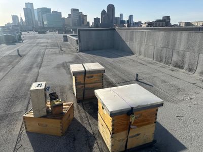 Downtown Apartment Rooftop 